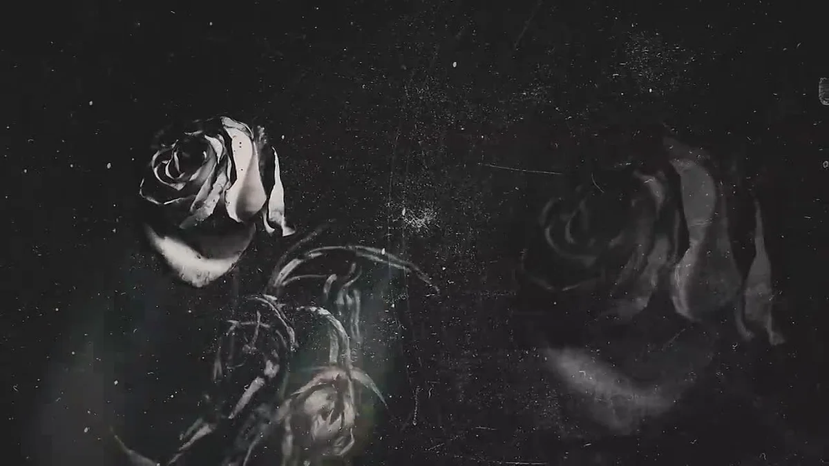 Morrissey - Notre-Dame