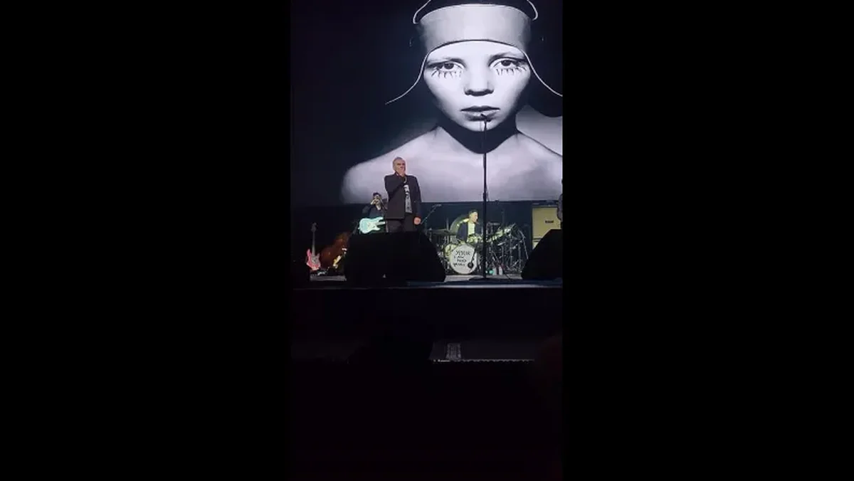 Morrissey - Paint a Vulgar Picture